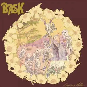 CD Bask: American Hollow