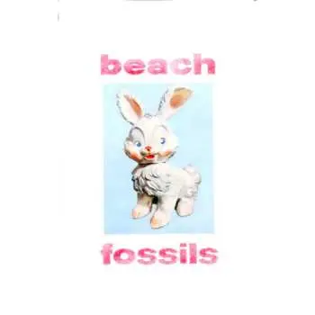 CD Beach Fossils: Bunny