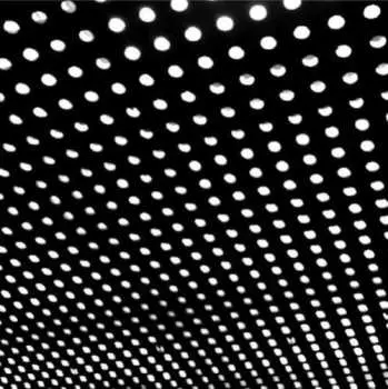2LP Beach House: Bloom