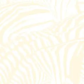 2LP Beach House: Teen Dream