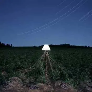 LP Beacon: Escapements