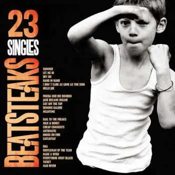 2LP Beatsteaks: 23 Singles