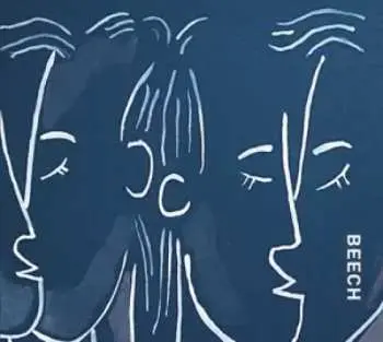 CD Beech: Artifact