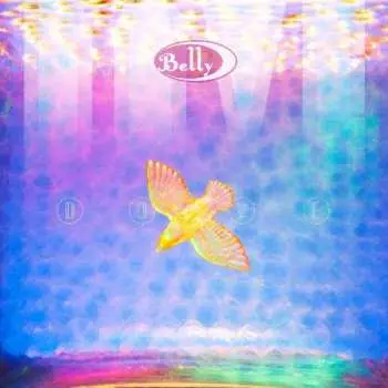 LP Belly: Dove
