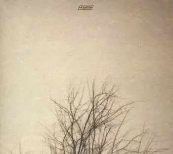 CD Benoit Pioulard: Lasted