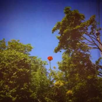 LP Benoit Pioulard: Sonnet