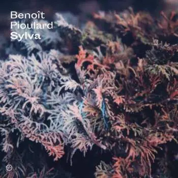 CD Benoit Pioulard: Sylva