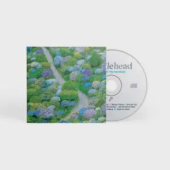 CD Fiddlehead: Between the Richness