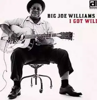CD Big Joe Williams: I Got Wild