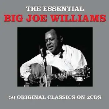 2CD Big Joe Williams: The Essential