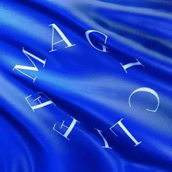 LP/CD/SP Bilderbuch: Magic Life DLX | LTD