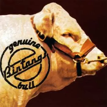 2CD Bintangs: Genuine Bull DLX