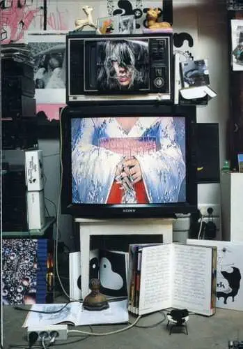 DVD Björk: Inside Björk