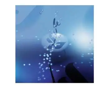2LP Björk: Joga
