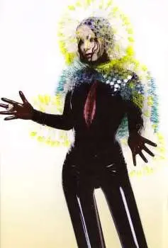 MC Björk: Vulnicura CLR | LTD