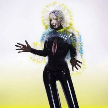 CD Björk: Vulnicura