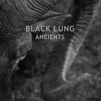 LP Black Lung: Ancients