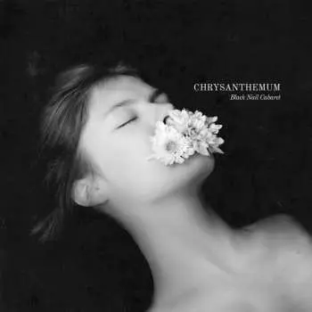 LP Black Nail Cabaret: Chrysanthemum
