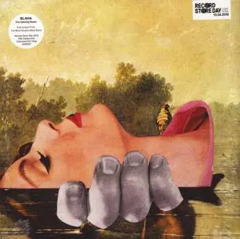 LP Blaha: The Calming Room CLR | LTD