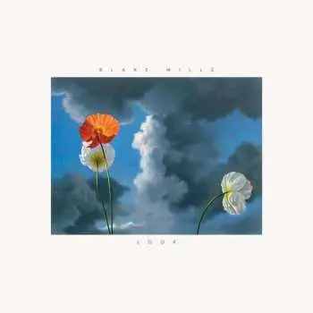 LP Blake Mills: Look