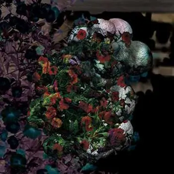 2LP Blondes: Warmth LTD | CLR