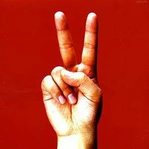 2LP Bloodthirsty Butchers: Birdy