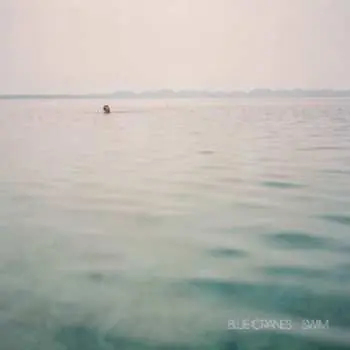 CD Blue Cranes: Swim