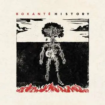 CD Bokanté: History