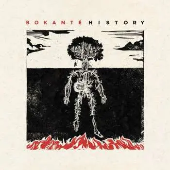 LP Bokanté: History