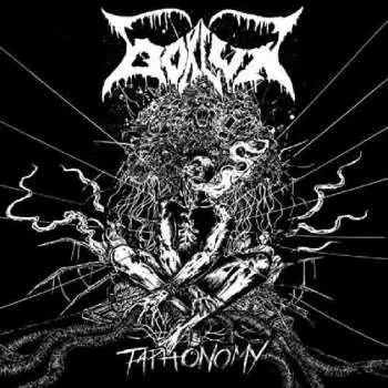 CD Bokluk: Taphonomy