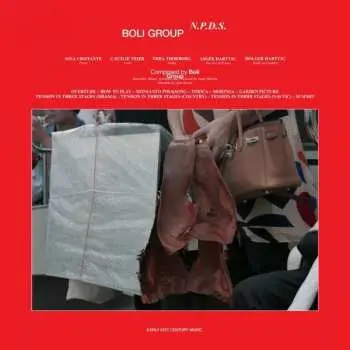 LP Boli Group: N.P.D.S.