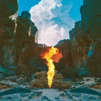 CD Bonobo: Migration