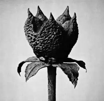 LP Masayoshi Fujita: Book Of Life