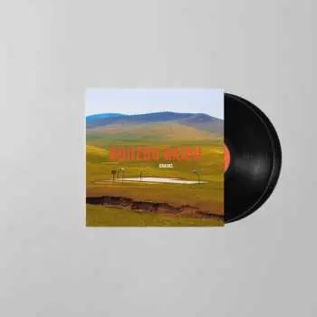 2LP Boozoo Bajou: Grains