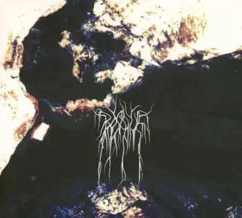 CD Bosque: Beyond