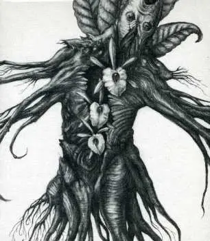 CD Botanist: IV: Mandragora LTD | DIGI