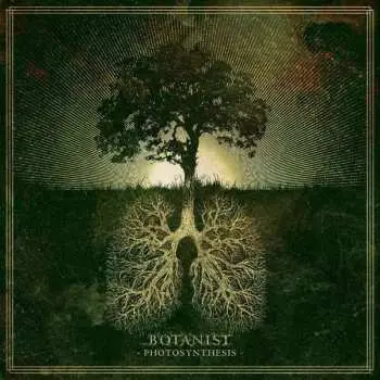 LP Botanist: Photosynthesis