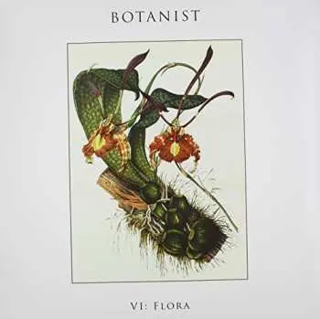 LP Botanist: VI: Flora