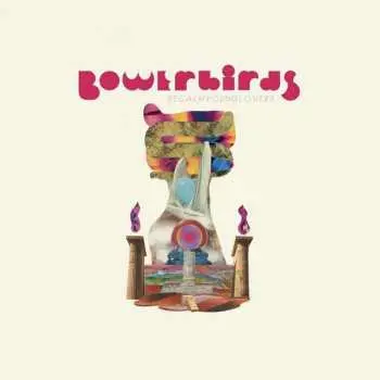 LP Bowerbirds: becalmyounglovers LTD | CLR