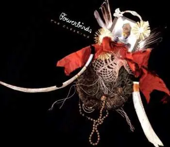 LP Bowerbirds: The Clearing