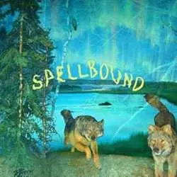 CD Boyscott: Spellbound