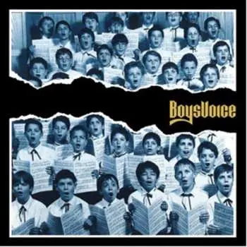 CD BoysVoice: Boysvoice