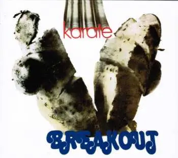 CD Breakout: Karate