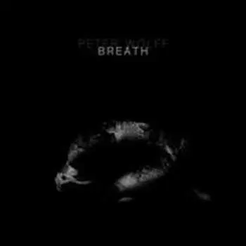2LP Peter Wolff: Breath