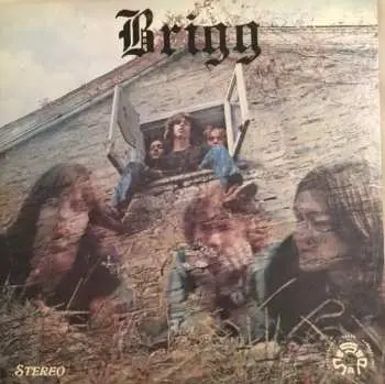 LP Brigg: Brigg LTD