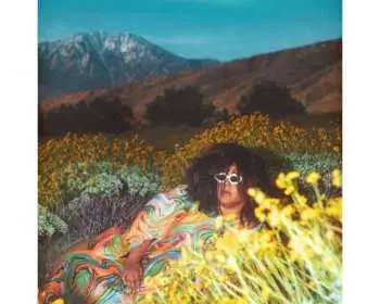 LP Brittany Howard: What Now