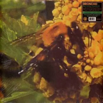 LP Broncho: Natural Pleasure CLR | LTD