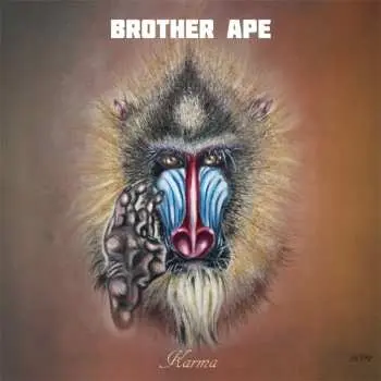 CD Brother Ape: Karma