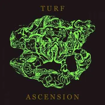 CD Bubblemath: Turf Ascension