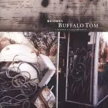 CD Buffalo Tom: Besides